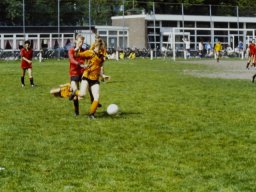 0DIA 1988 RAVA B1